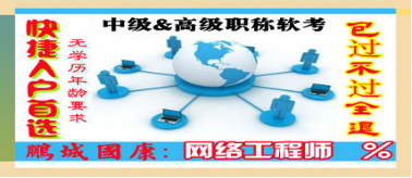 网络信息技术开发 数字时代的核心职业技能